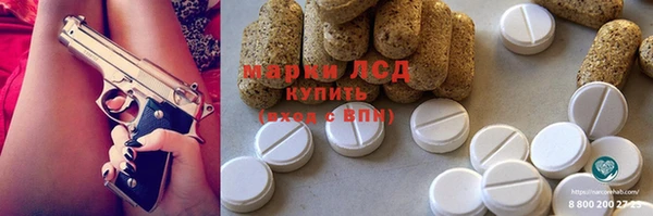 ГАЛЛЮЦИНОГЕННЫЕ ГРИБЫ Осташков