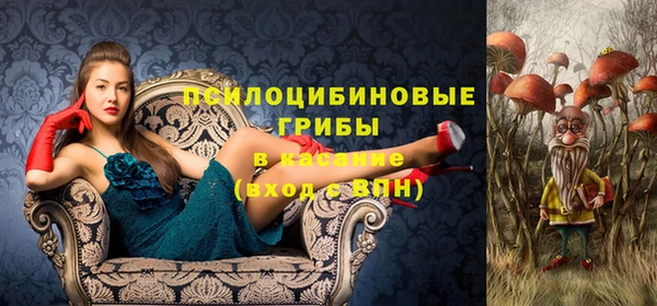 первитин Богородск