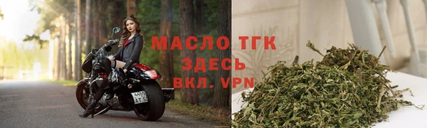 apvp Бородино