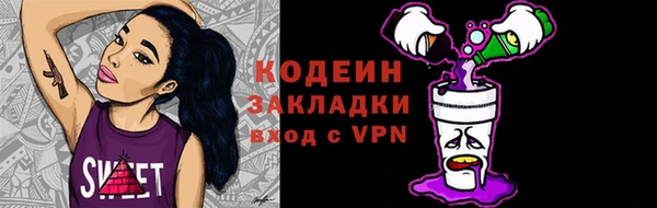 apvp Бородино