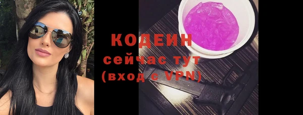 apvp Бородино