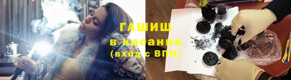 apvp Бородино
