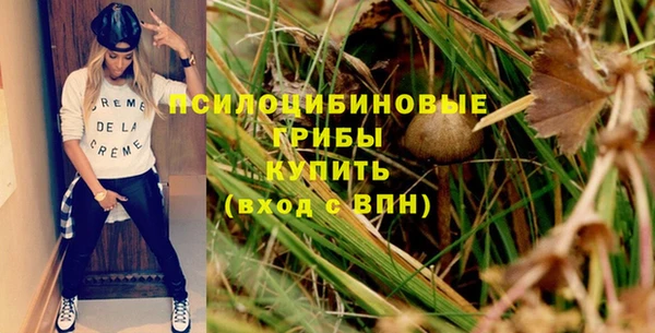 apvp Бородино