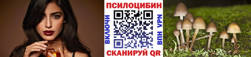 Псилоцибиновые грибы мицелий  Дегтярск 